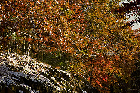 Early Snow on Fall on Skyline Drive, Shenandoah National Park, VA